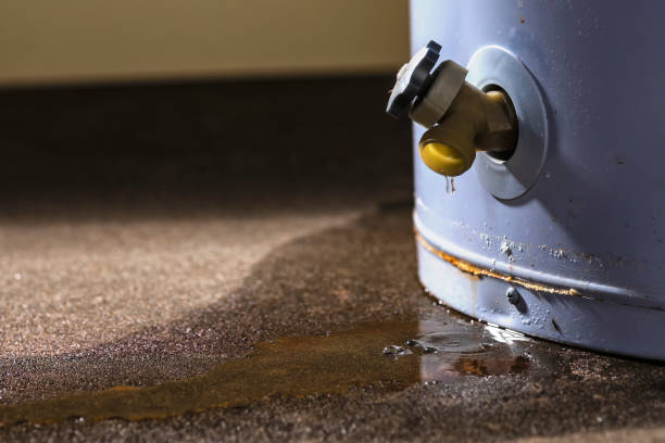 Best Mold removal after water damage  in Le Roy, IL