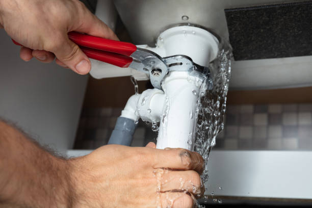 Best Ceiling water damage repair  in Le Roy, IL