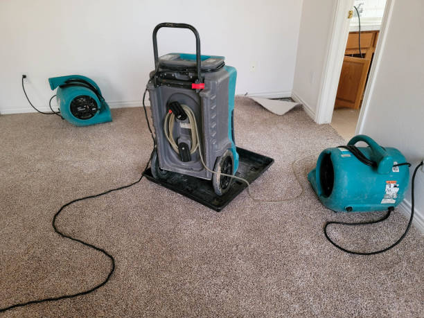 Best Professional water damage repair  in Le Roy, IL