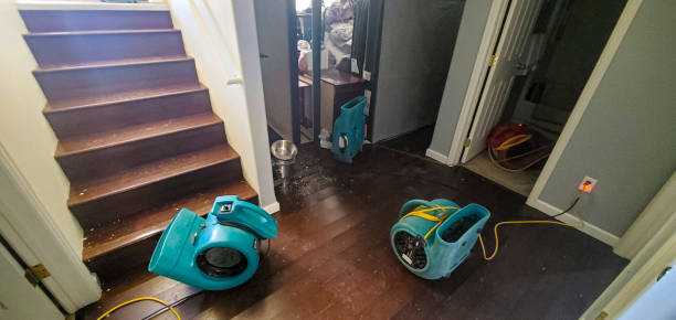 Best Flood damage cleanup  in Le Roy, IL