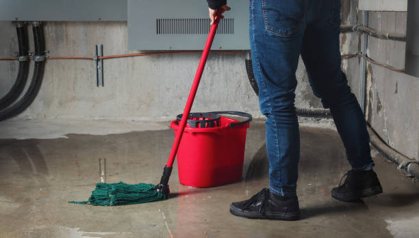 Best Basement water damage restoration  in Le Roy, IL