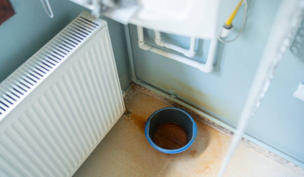 Best Professional water damage repair  in Le Roy, IL