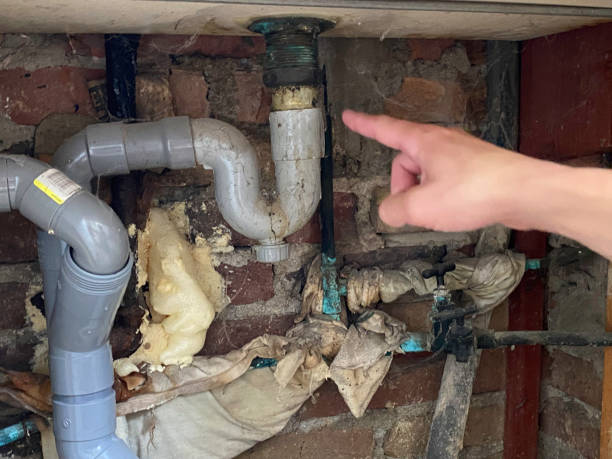Best Commercial water damage restoration  in Le Roy, IL