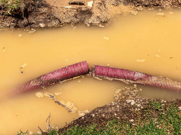 Best Residential water damage restoration  in Le Roy, IL
