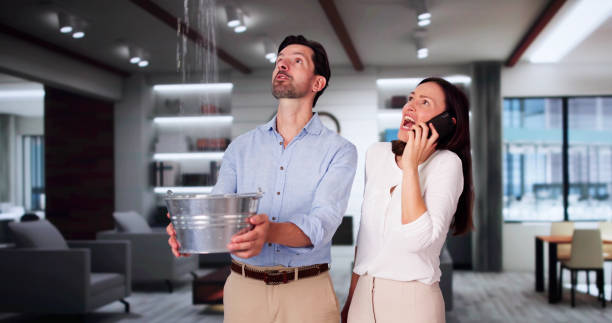 Best Flood restoration services  in Le Roy, IL