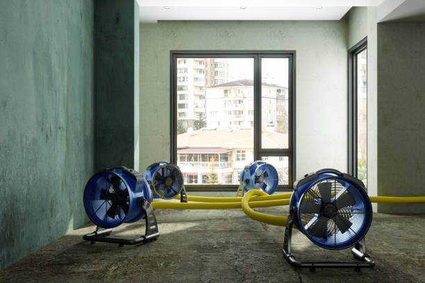 Best Fire Damage Restoration  in Le Roy, IL