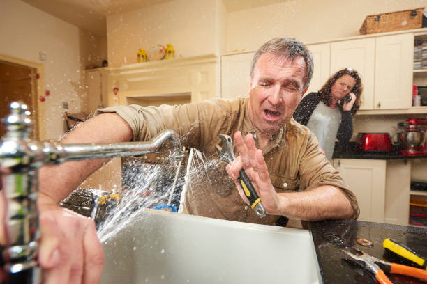 Best Commercial water damage restoration  in Le Roy, IL